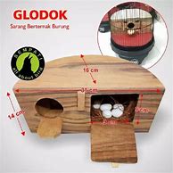 Glodok Lovebird Setengah Lingkaran